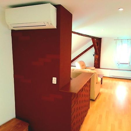 Apartman Penelope Жатец Экстерьер фото