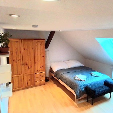 Apartman Penelope Жатец Экстерьер фото
